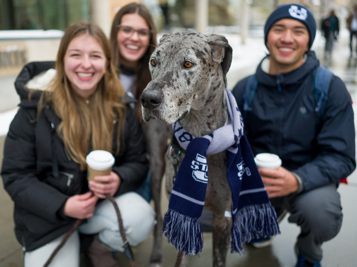 Image shows a group of Aggies with a dog wearing a scarf
